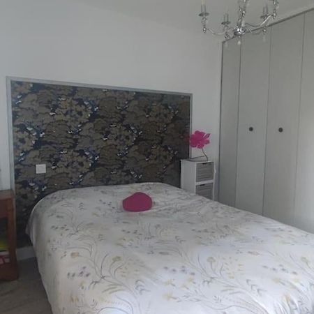 Chez Nathalie Pres De La Gare Каркасон Екстериор снимка