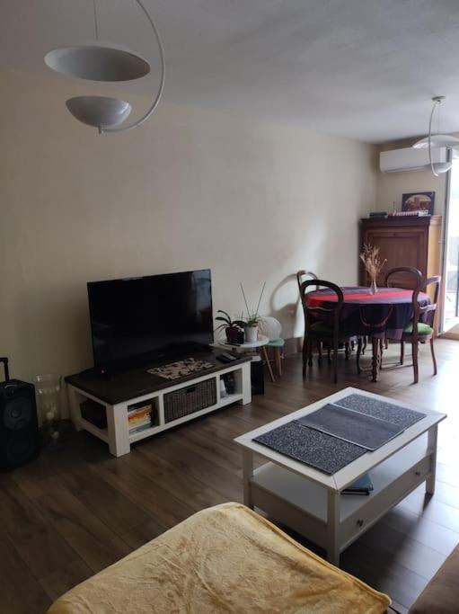 Chez Nathalie Pres De La Gare Каркасон Екстериор снимка
